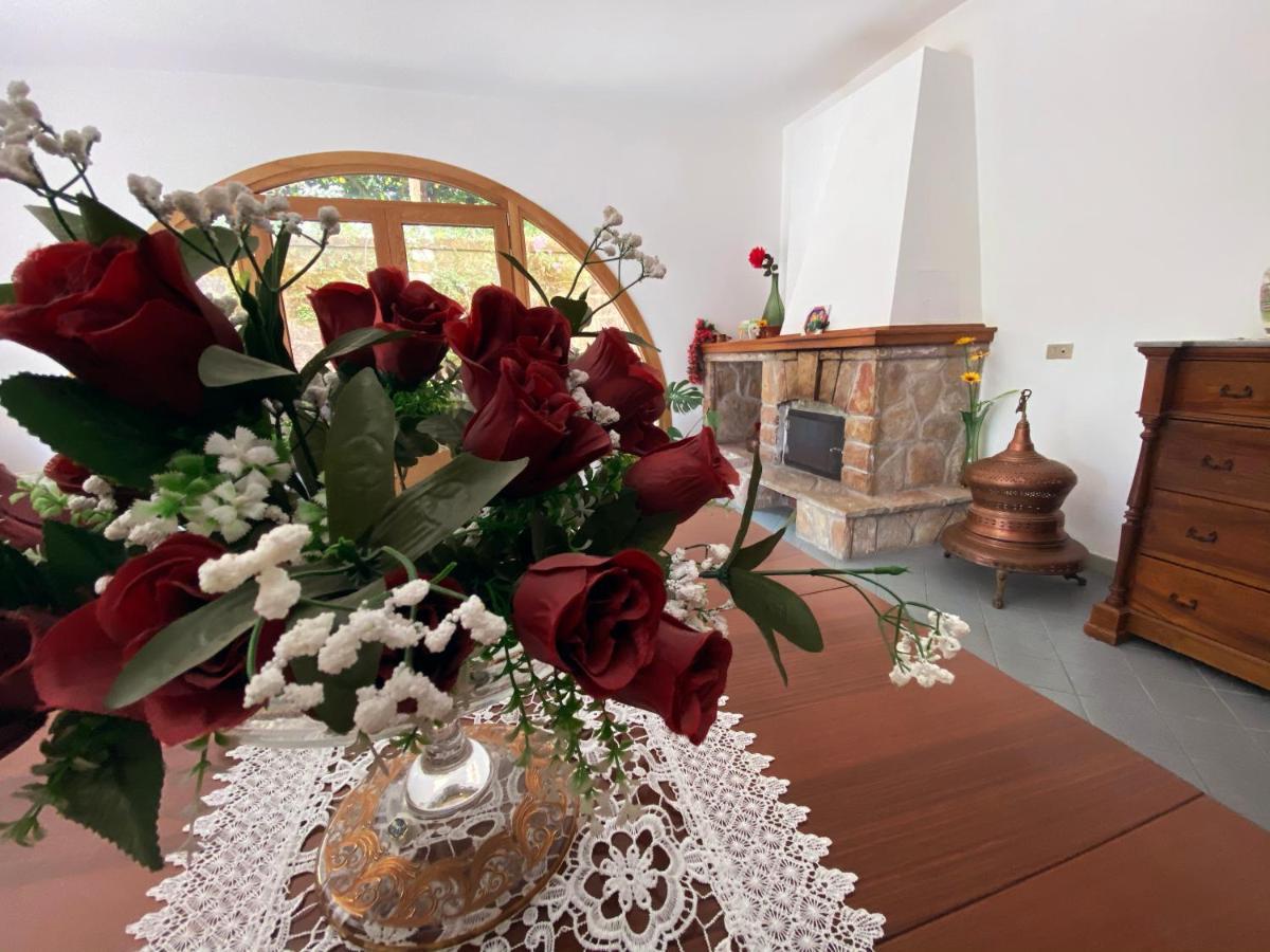 Achille Home B&B Sorrente Extérieur photo