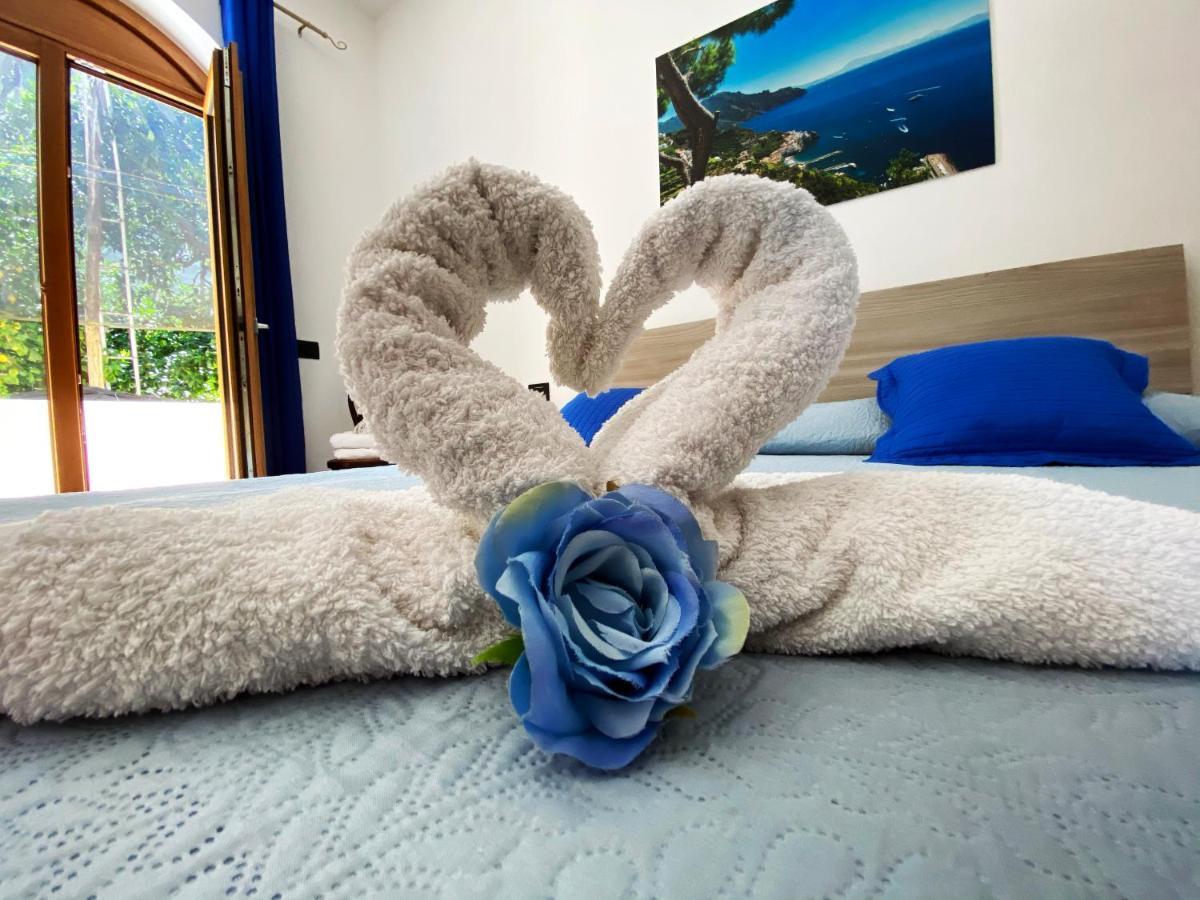 Achille Home B&B Sorrente Extérieur photo